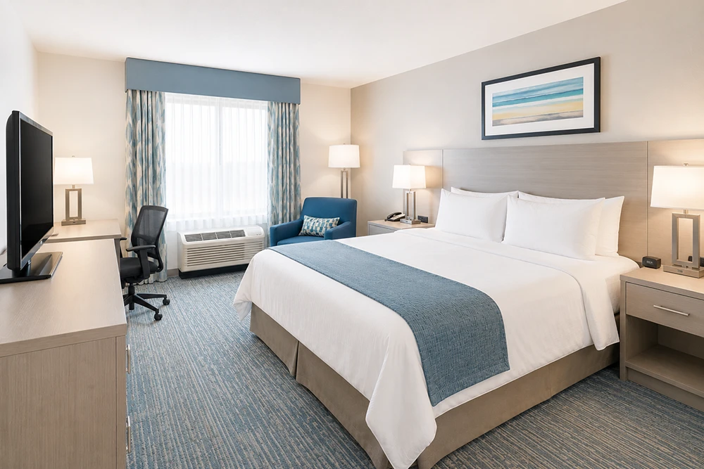 Commercial-Hotel-Canine Bed Bug Detection North Carolina